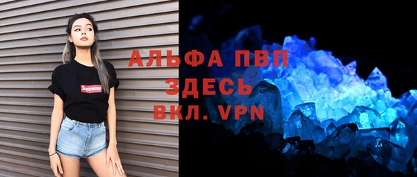 дживик Богородицк