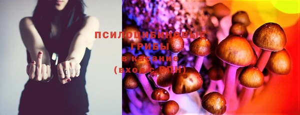 ECSTASY Белоозёрский